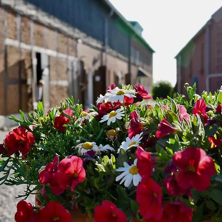 Knusthof Lafrenz - Apfelhofblick
